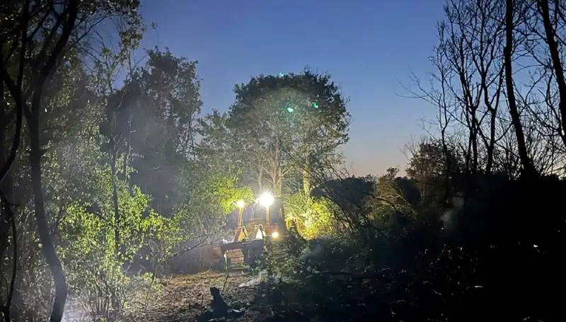 Edirne’deki Orman Yangını Kontrol Altına Alındı, Yaklaşık 500 Dönüm Alan Zarar Gördü