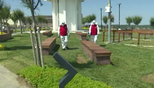 Kene Tehdidi Artıyor: Halka Açık Alanlarda İlaçlama Uygulaması Başlatıldı