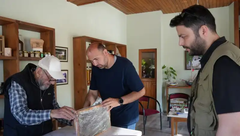 Doktor Tavsiyesiyle Kullanılmalı: Şifa ve Tehlike Arasında Denge