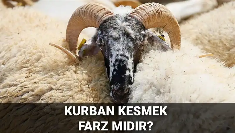 Kurban Kesmenin Dini Hükmü ve Şartları: Diyanet'in Görüşleri