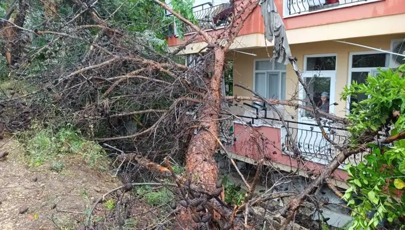 Yağmur, Bina Göçtü: Tahribat ve Sonrası