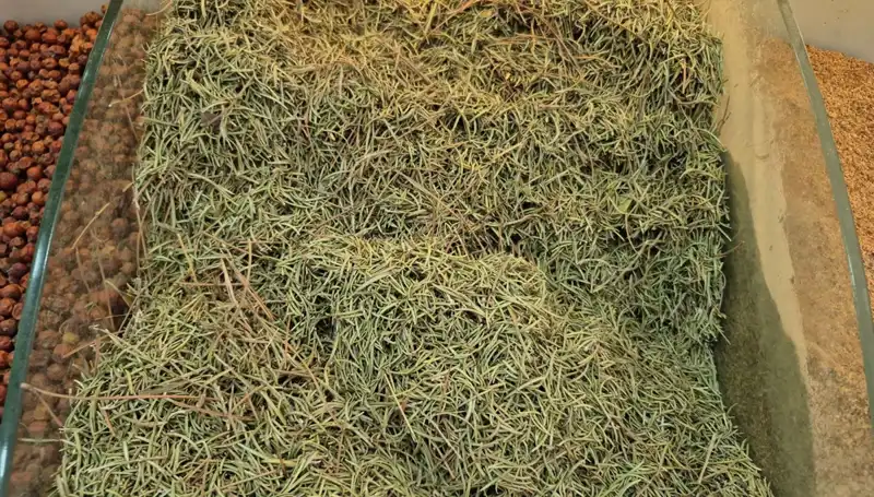Yaz Aylarında İnternetteki Tehlikeli Ürün Satışı Artıyor!