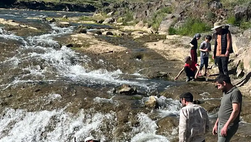 İnci Kefali Göçü: Doğa Mucizesi ile Turizmde Yeni Bir Dönem