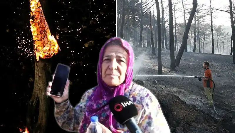 Çanakkale Orman Yangınları Kontrol Altına Alındı: Hayatta Kalanların Hikayesi