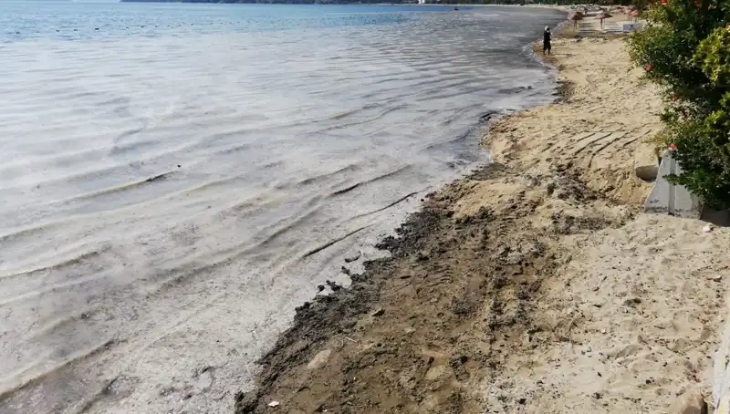 Müsilajla Mücadelede Sert Önlemler: 268 İşletme Kapatıldı!
