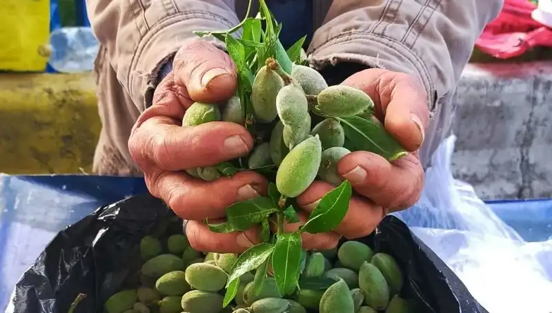 Baharın Tadı: Bu Yıl Kilosu 250 TL Olan Taze Otantik Bahar Sebzeleri