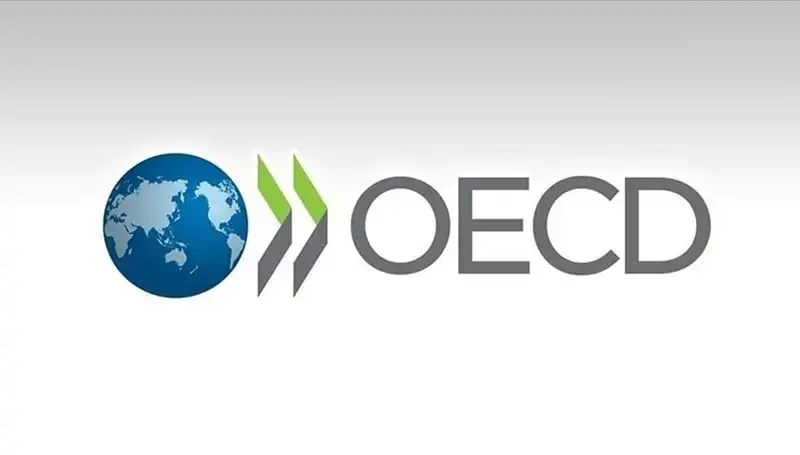 OECD, Türkiye Ekonomisi İçin Büyüme Tahminini Revize Etti