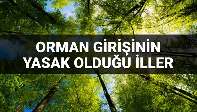 2025'te Orman Girişinin Yasaklandığı İller Açıklandı!