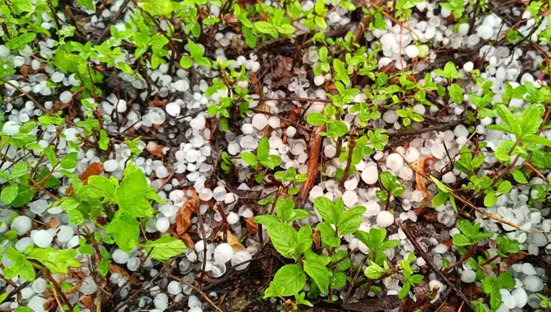 Temmuz Ortasında Yağmur Değil Dolu! Şehirdeki Etkileri ve İlk Tepkiler