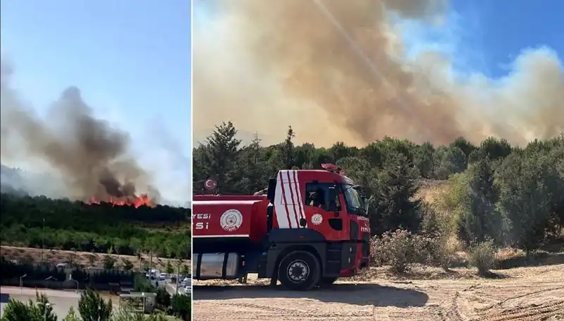 Gebze'de Korkutan Orman Yangını: Doğa Yine Zarar Gördü