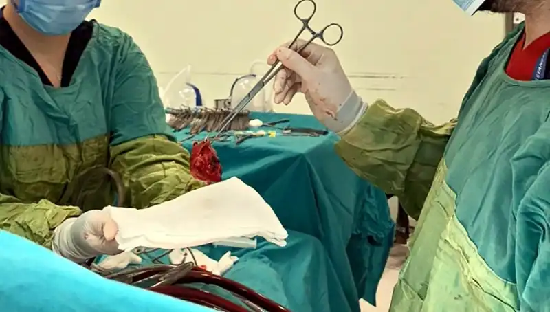 Kalp Kapağı Ameliyatında 7 Saatlik Mücadele: Cerrahlar Hayatı Kurtardı!