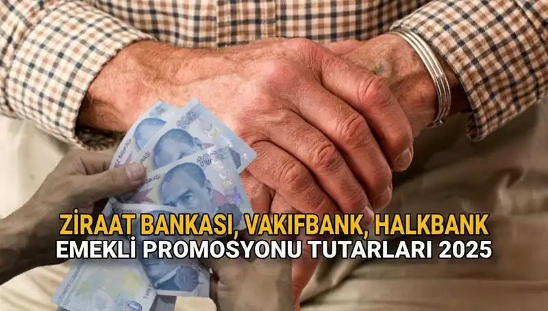 Emekliler İçin Kamu Bankaları 2025 Promosyon Fırsatları