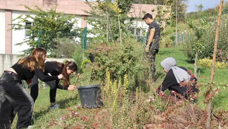 Şimdi Düzce’den Dünyaya Yayılıyor: Hayalin Gerçek Olma Hikayesi